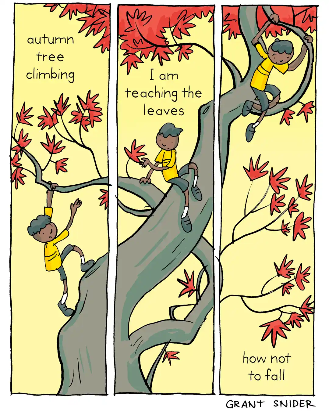 autumn tree climbing / I am teaching the leaves / how not to fall