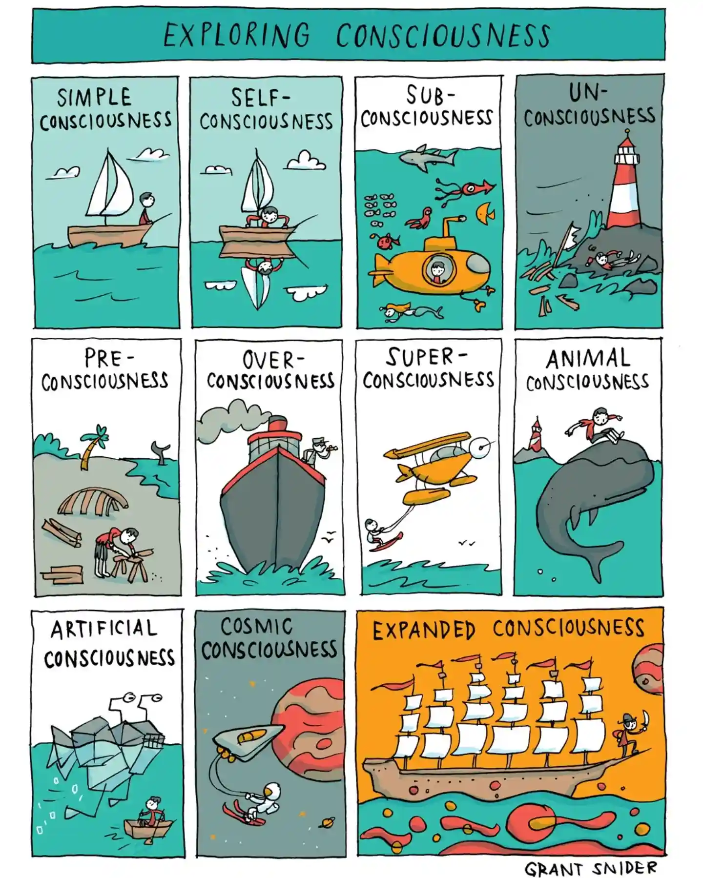 Exploring Consciousness