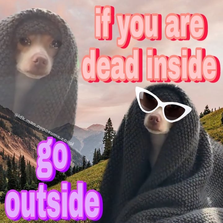 if you are dead inside, go outside