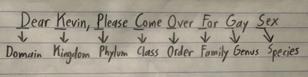 Taxonomy mnemonic