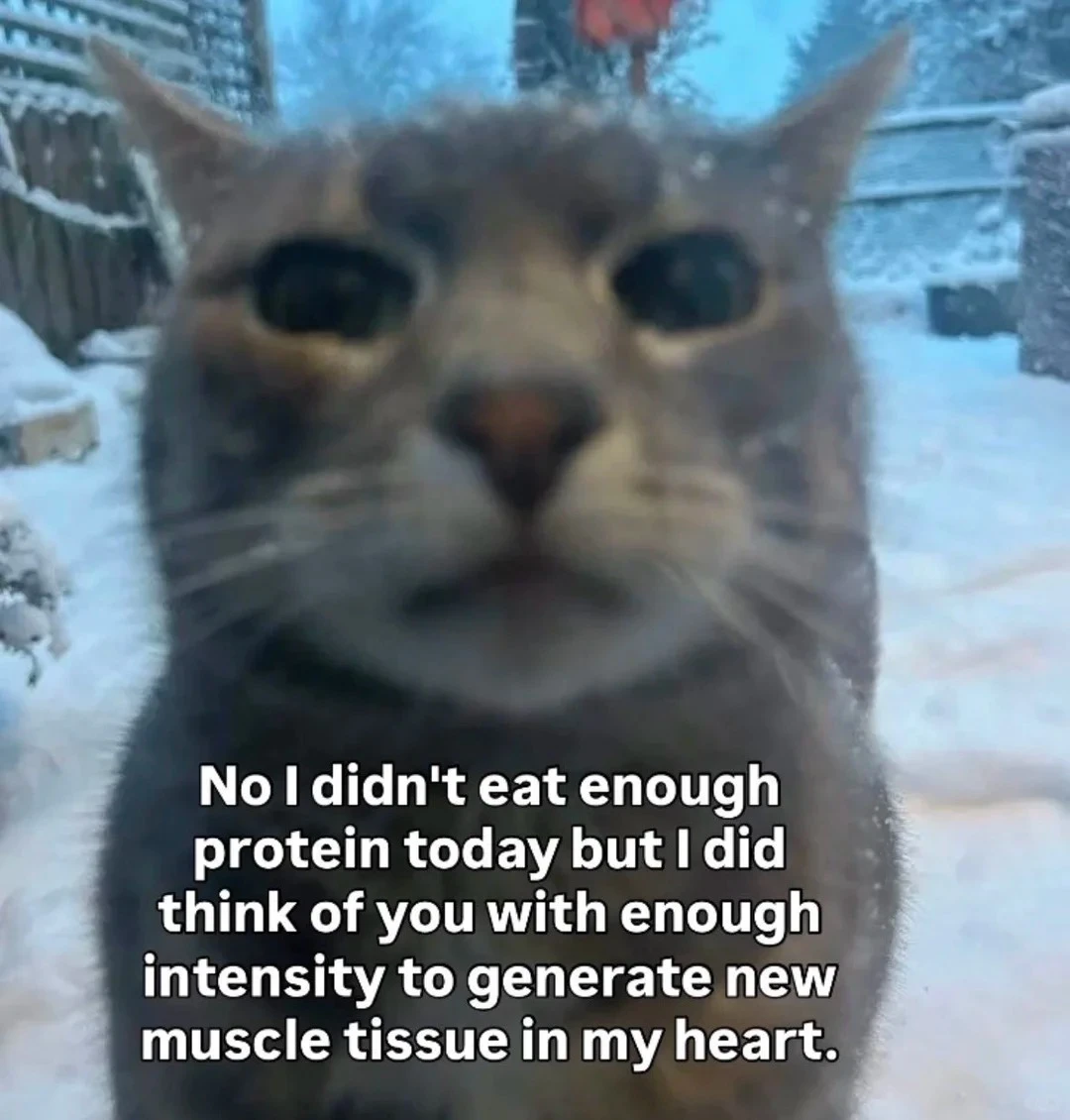 No I didn't eat enough protein today but I did think of you with enough intensity to generate new muscle tissue in my heart.