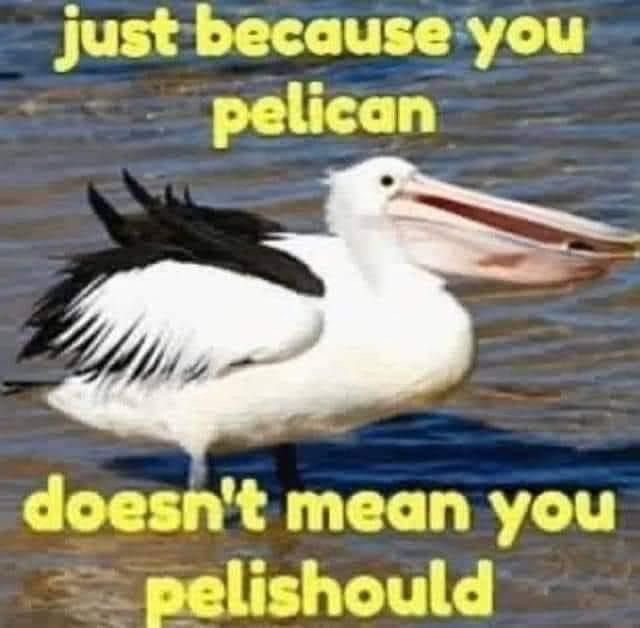 just because you pelican, doesn't mean you pelishould