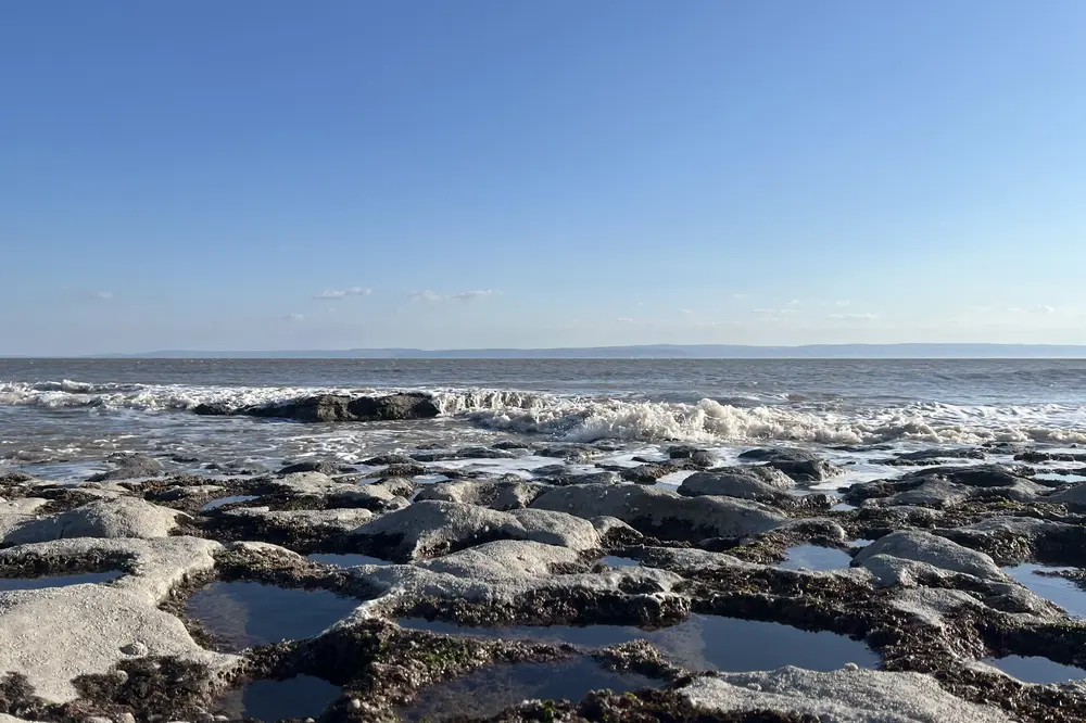 Sea